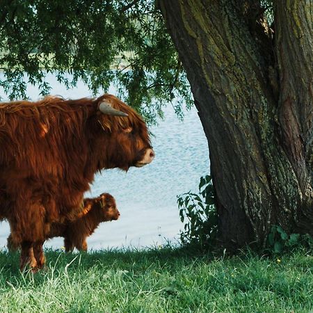 Sfeervol Chalet In Drenthe Bij Het Dwingelderveld Villa Spier Ngoại thất bức ảnh