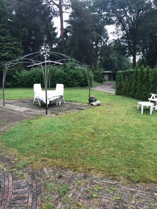 Sfeervol Chalet In Drenthe Bij Het Dwingelderveld Villa Spier Ngoại thất bức ảnh