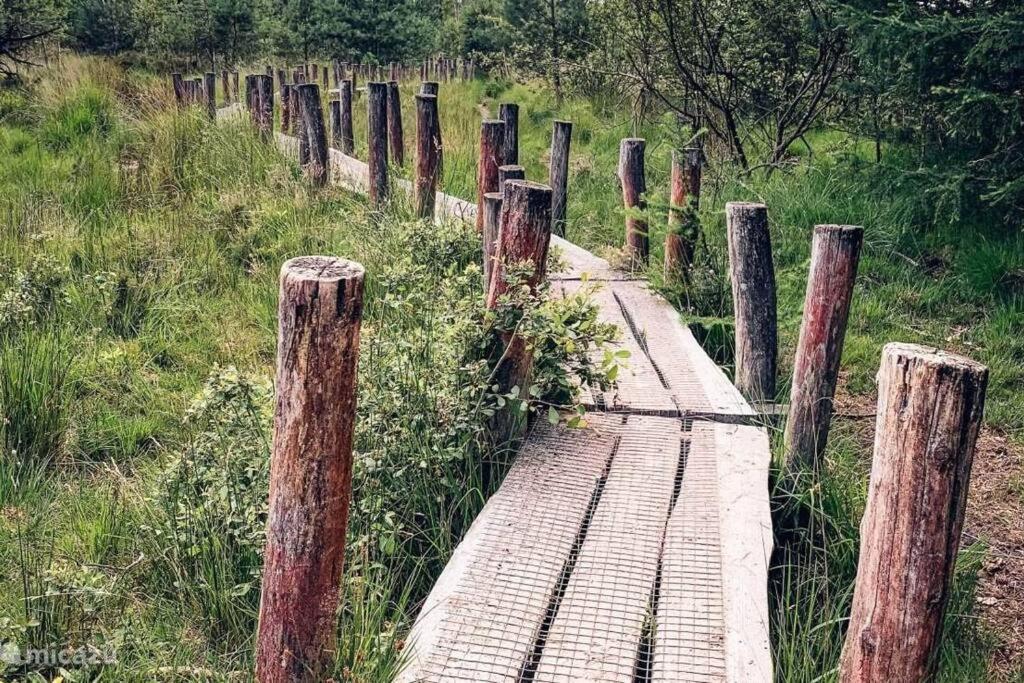 Sfeervol Chalet In Drenthe Bij Het Dwingelderveld Villa Spier Ngoại thất bức ảnh