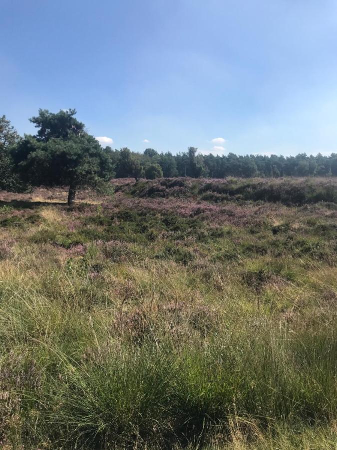 Sfeervol Chalet In Drenthe Bij Het Dwingelderveld Villa Spier Ngoại thất bức ảnh