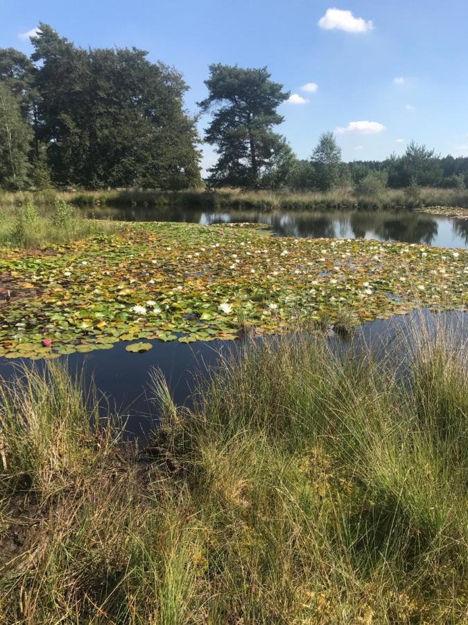 Sfeervol Chalet In Drenthe Bij Het Dwingelderveld Villa Spier Ngoại thất bức ảnh