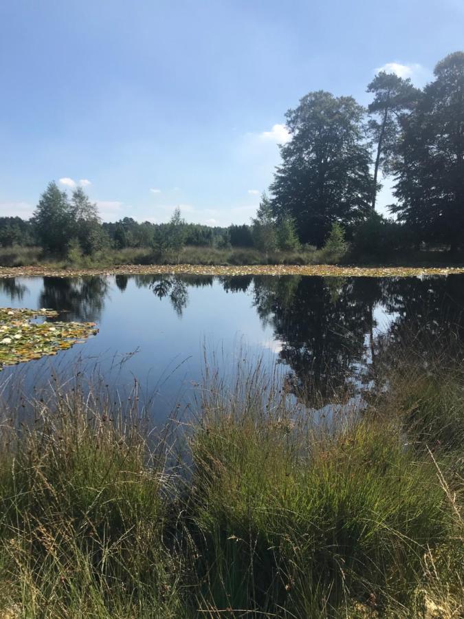 Sfeervol Chalet In Drenthe Bij Het Dwingelderveld Villa Spier Ngoại thất bức ảnh